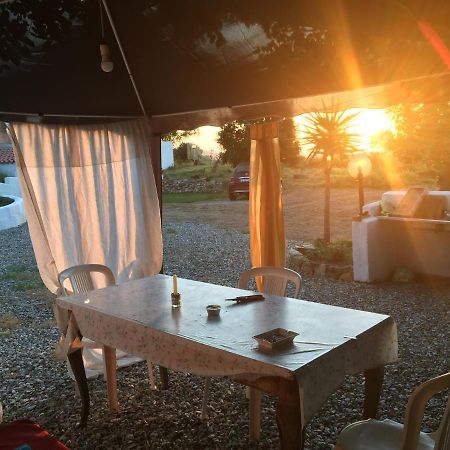 Tertenìa Casa Vacanza المظهر الخارجي الصورة