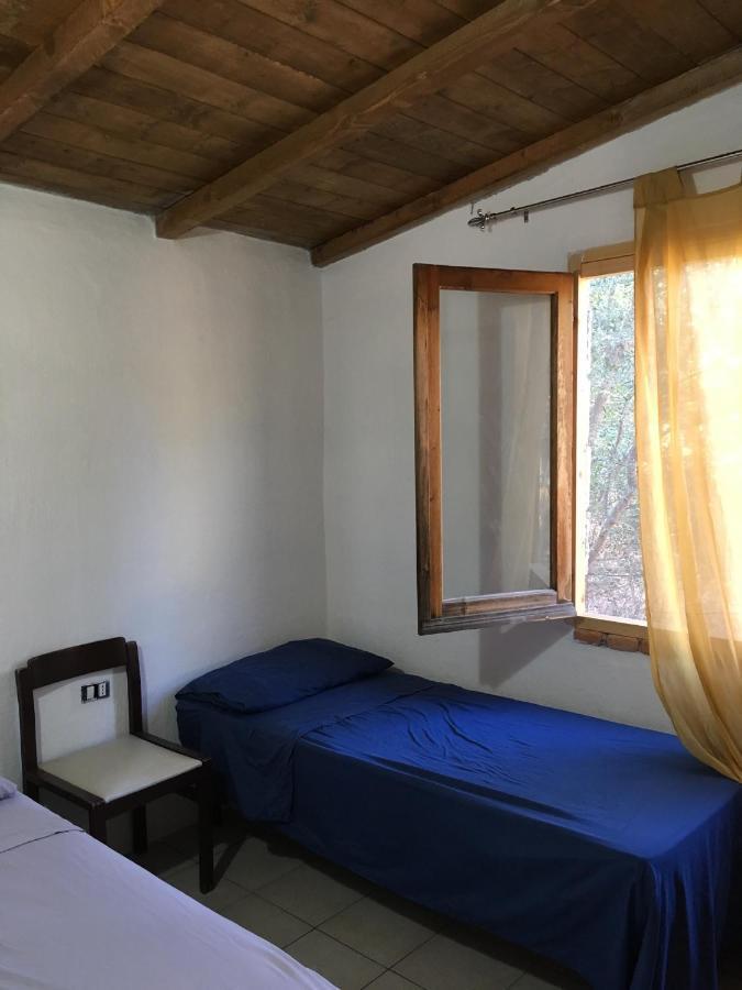 Tertenìa Casa Vacanza المظهر الخارجي الصورة